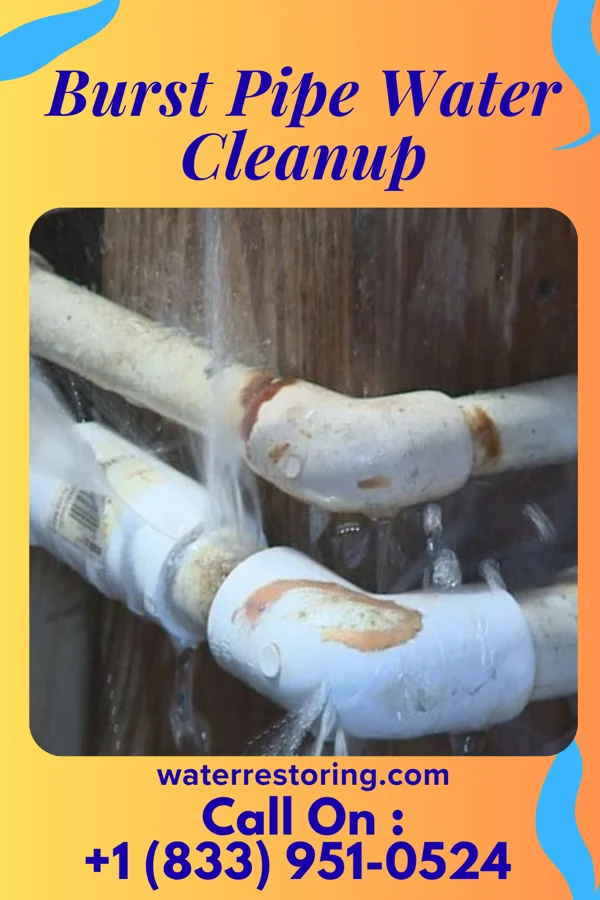 Burst Pipe Water Cleanup in De Witt, NE