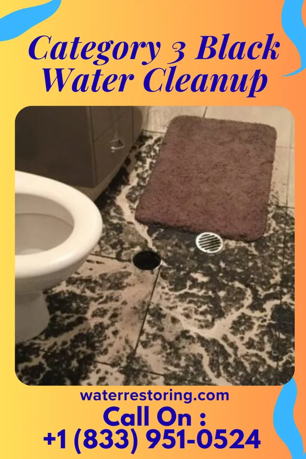 Category 3 Black Water Cleanup in De Witt, NE