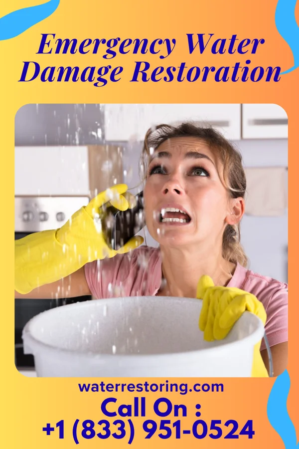 Emergency Water Damage Restoration in De Witt, NE